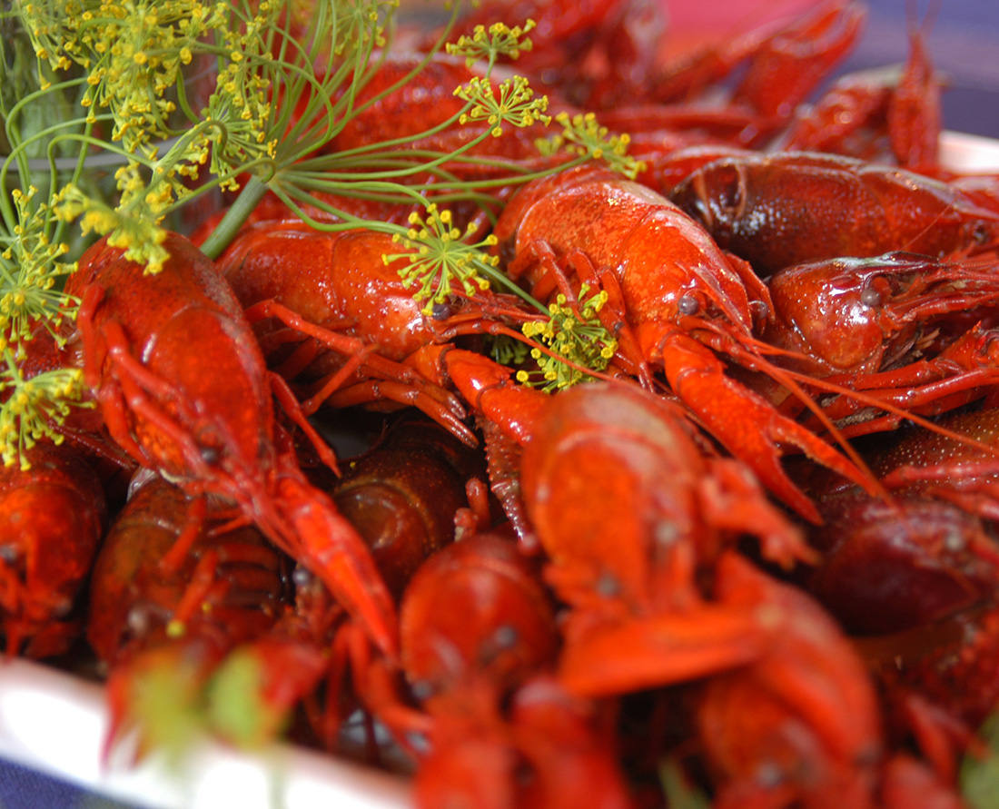 Crayfish - Traditional Foods of Finland. Photo Credit: Visit Finland