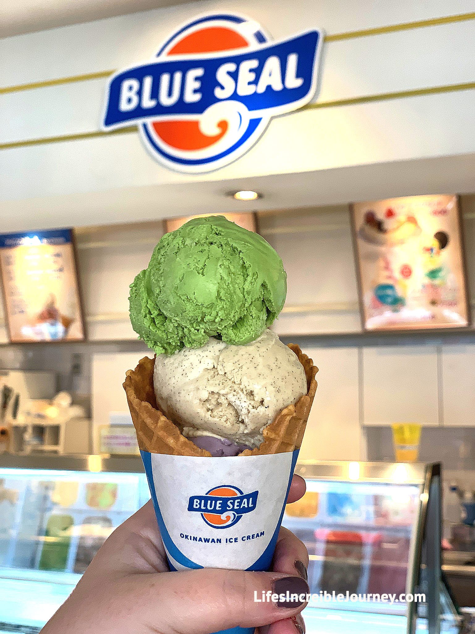 5 Must Try Foods of Okinawa, Japan (And a Drink with a Viper!)