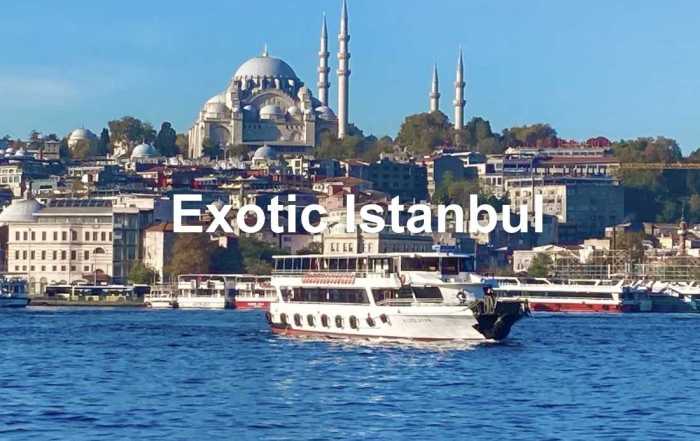 Home 22 Best things to do in Istanbul. Photo: Anita Draycott©