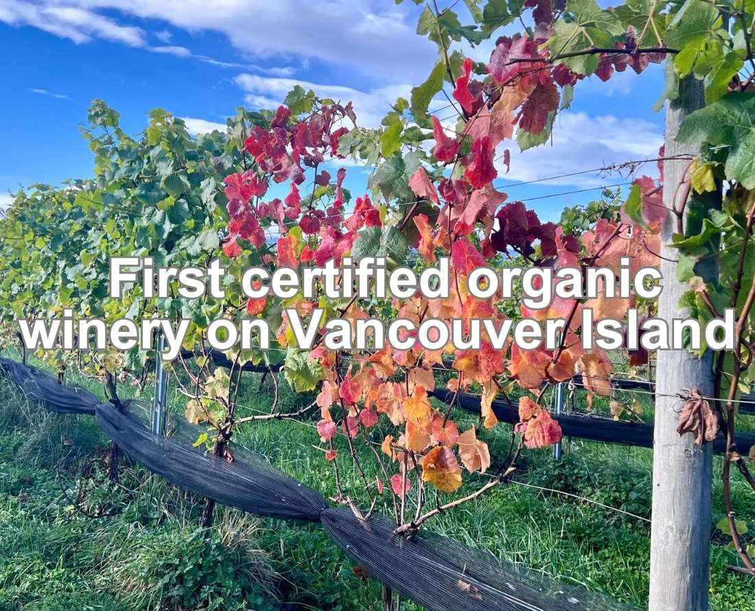 Beaufort Winery is the first certified organic winery on Vancouver Island