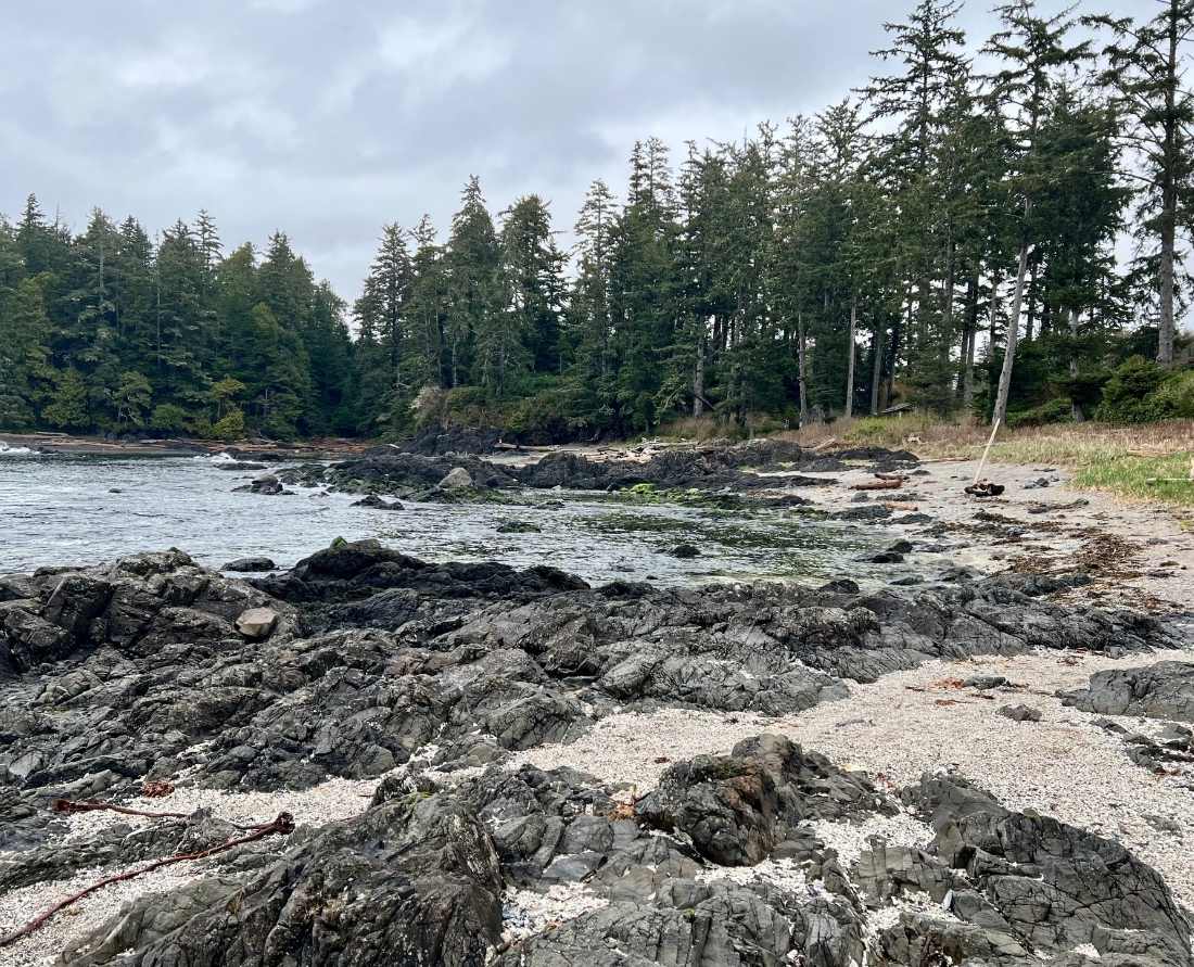 exploring the rocky shoreline of on a beach in Ucluelet. Photo Wendy Nordvik-Carr©