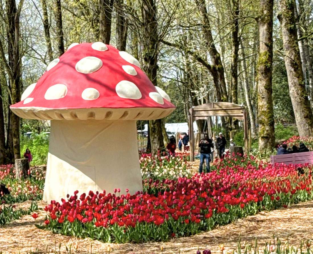 Easter at Maan Farms. Photo: Melanie©